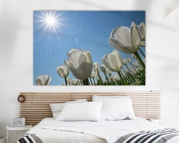 Witte tulpen in de zon van Ruud van der Lubben