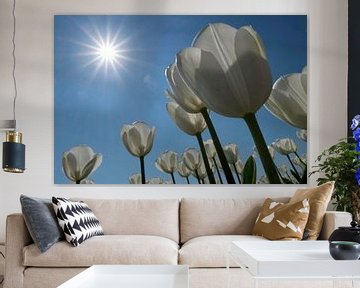 Witte tulpen in de zon van Ruud van der Lubben