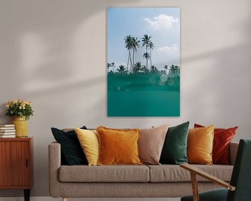 TROPICAL PALMS by STUDIO MELCHIOR