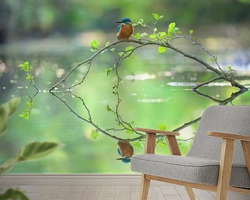 Kingfisher by Kingfisher.photo - Corné van Oosterhout