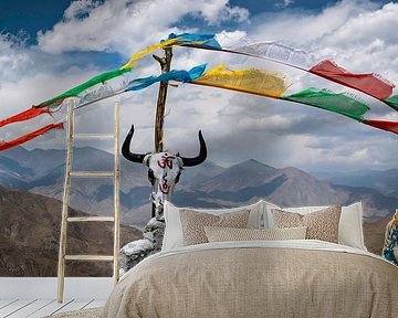 Schedel van een jak op een bergtop in de Himalaya, Tibet
