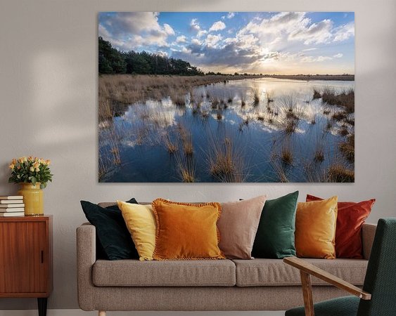 Aperçu de la chambre