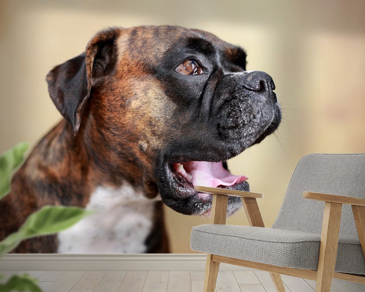 Raumvorschau