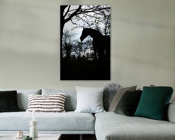  Paarden Silhouet van FotoGraaG Hanneke