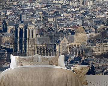 Notre-Dame kathedraal van Parijs van Michaelangelo Pix