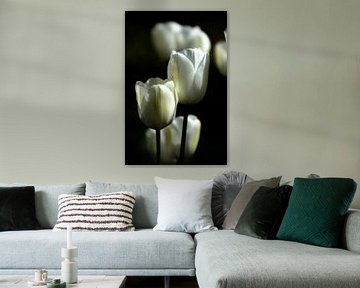Witte tulpen I van Jessica Berendsen