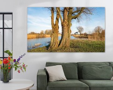 Dikke bomen op de voorgrond van een waterrijk Nederlands landschap van Ruud Morijn