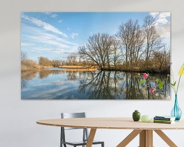 Kale bomen weerspiegeld in het water van Ruud Morijn