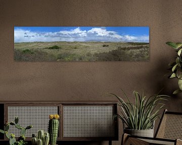 Panorama van de duinen van Ameland van Harry Kors