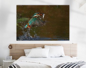 Ijsvogel duikt op met vis (Eisvogel, Kingfisher) van Gejo Wassink