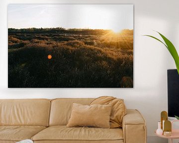 Zonsondergang Gasterse Duinen van Rob Veldman