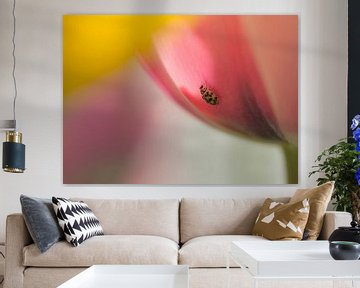 Sweet surprise (pastelkleurige tulpen met lieveheersbeestje) van Birgitte Bergman