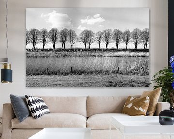 Monochrome photo of a row of bare trees behind a dike by Ruud Morijn