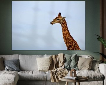 Close up prachtige giraffe voor een blauwe lucht, Kruger Park, Zuid Afrika van Vera Boels