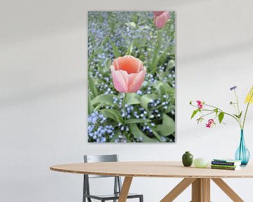 Flowers 6