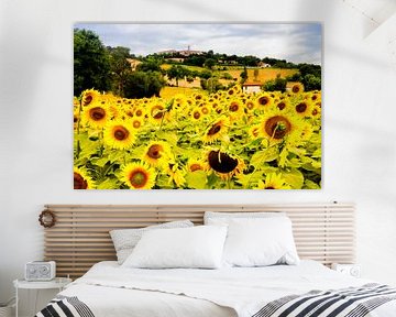 veld met zonnebloemen in Italie van Paul Piebinga