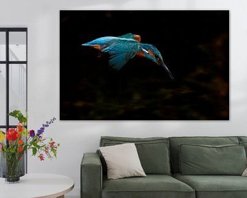 Ijsvogel bidt van Gejo Wassink