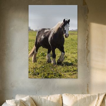 Magnifique flic irlandais sur Rolf Pötsch