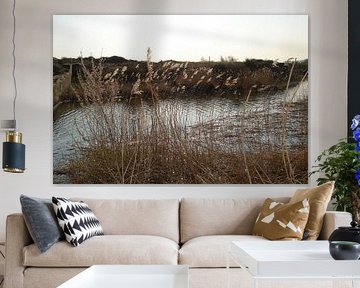 Landscape - The Netherlands 1