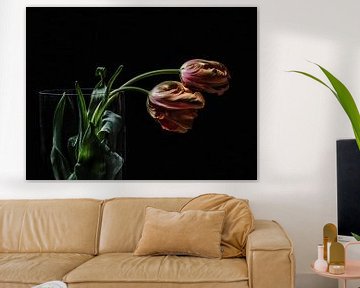 Twee tulpen van Lex Schulte