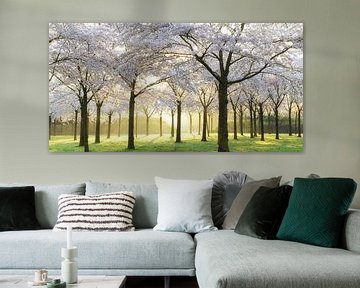 Brautbäume von Lars van de Goor