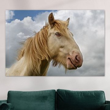 Tinker Cremello, Portret