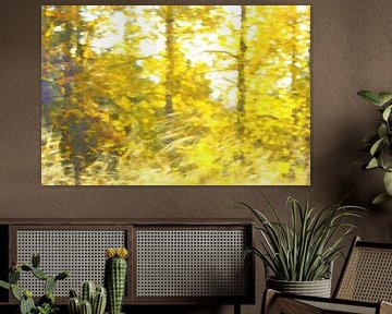 Van Gogh's yellow in Finnish birches by Susan Hol