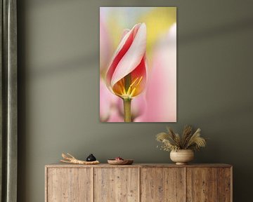 Detail van een roze tulp. van Astrid Brouwers