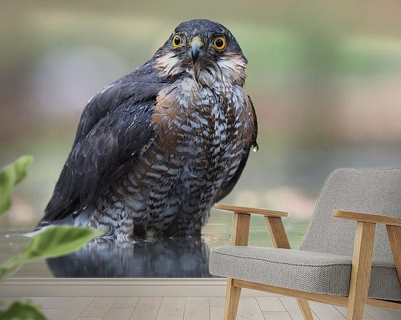 Voorbeeld van het werk in een kamer