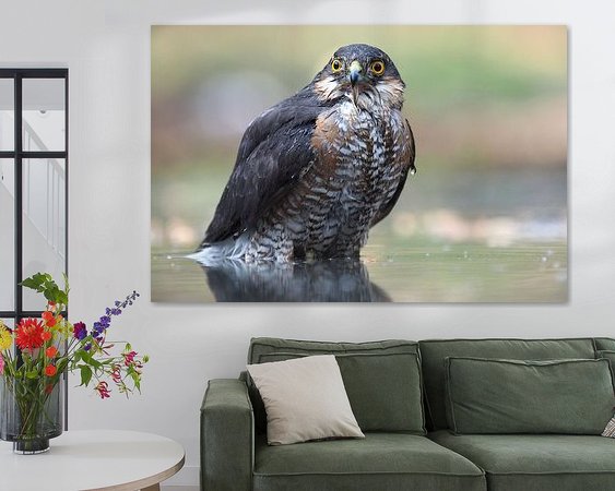 Voorbeeld van het werk in een kamer