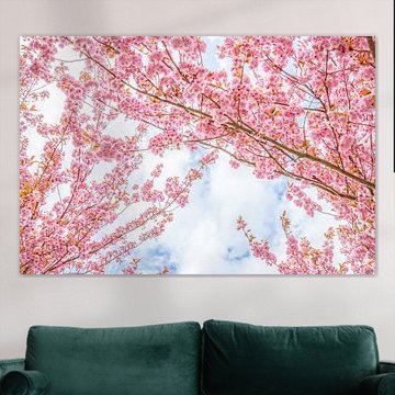 Japanische Kirschblüten