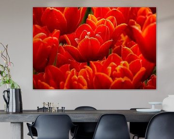 Red tulips von Studio Mirabelle