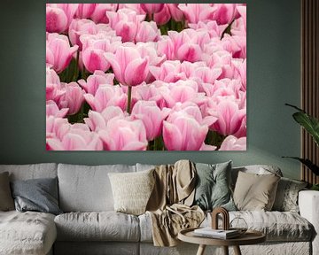 Groep roze tulpen van Studio Mirabelle