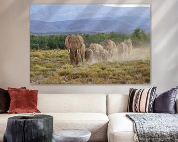 Elephant herd at sundown by Rick Crauwels