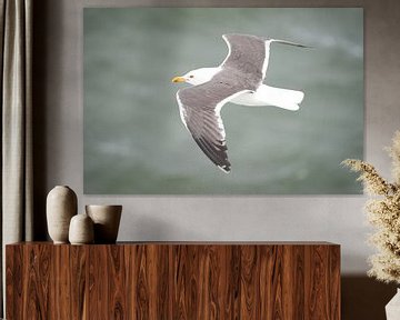 The seagull flying in the air by Rene du Chatenier