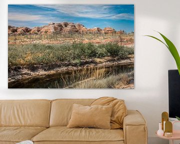 Purnululu National Park - Australia von Family Everywhere