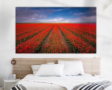 Tulip field von Patrick Rodink