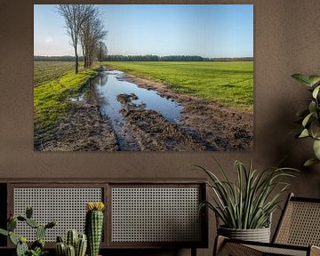 Modderige Nederlandse landweg met plassen water van Ruud Morijn
