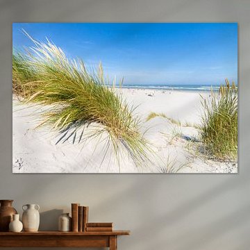 Strand, zee  en duinen Ameland