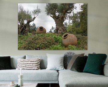 olive trees and old vases in garden