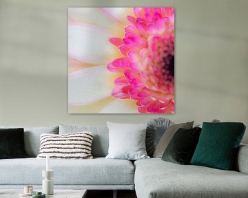 Gerbera in detail by Greetje van Son