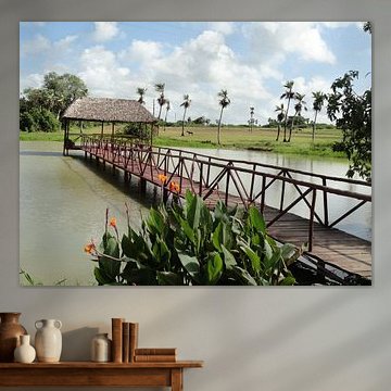 Cuba Vallei van Vinales