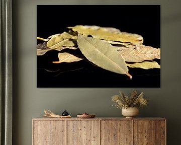 Dried bay leaf stack on a black background by Sjoerd van der Wal Photography