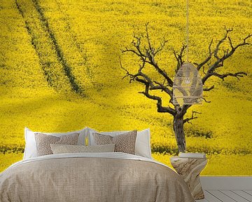 dead tree in canola field by Yvonne Blokland