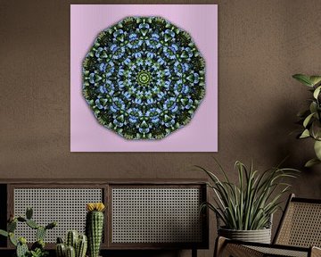 Forget My Not, Flowers Mandala, Nature (Forget Me Not)