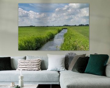 Friesland  landschap