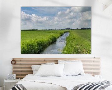 Friesland  landschap van Nicole Nagtegaal