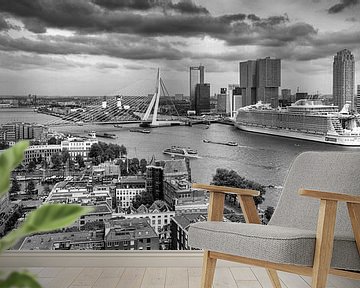 Harmony of the Seas in Rotterdam - Panorama - Zwart Wit van Sylvester Lobé