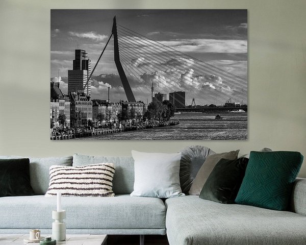 Erasmusbrug & Noordereiland in Rotterdam | Zwart-Wit