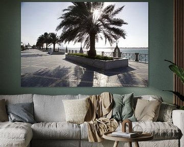 Abu Dhabi Corniche von Stefanie Hoekstra